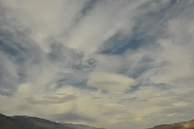 DSC_6583 (Large).JPG